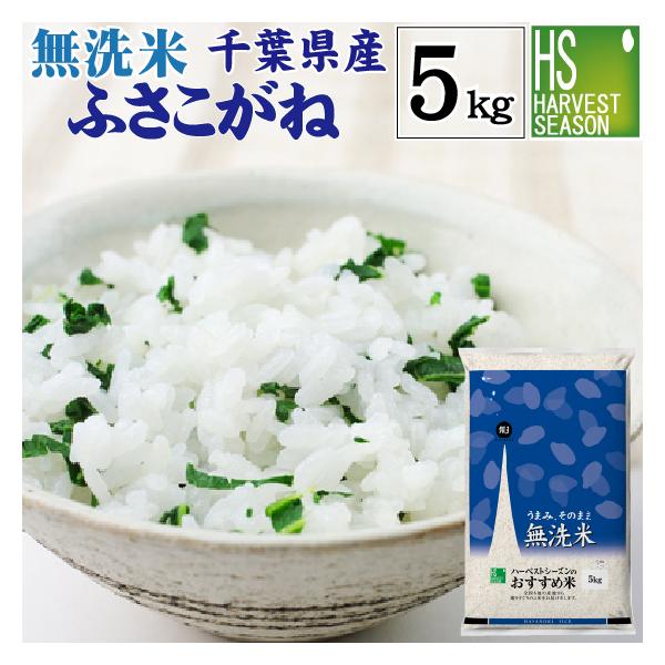無洗米 5kg ふさこがね 千葉県産 令和4年産 数量限定 送料無料