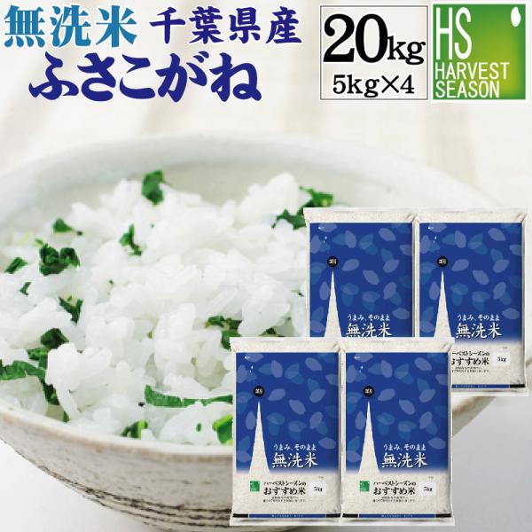 無洗米 20kg 5kg×4袋 ふさこがね 千葉県産 令和4年産 数量限定 送料無料