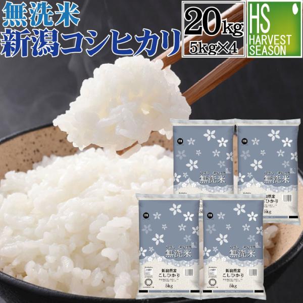 [20周年記念大特価＆抽選プレゼント]  令和7年産 無洗米 20kg 5kg×4 新潟県産 コシヒカリ  送料無料 お米マイスター厳選 HACCP認定工場（SL）