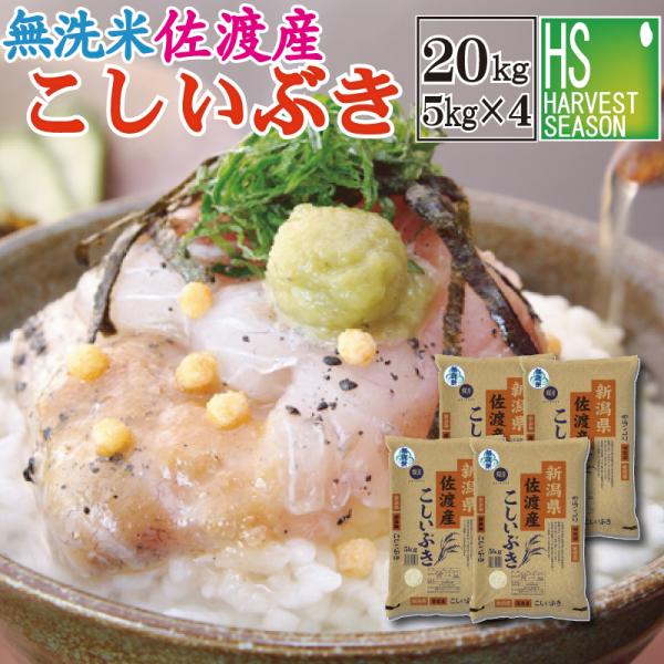 [精米時期訳あり]  無洗米 新潟県佐渡産こしいぶき 20kg(5kg×4袋)  令和7年産 送料無料　SL