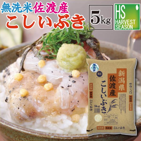 [精米時期訳あり]  無洗米 新潟県佐渡産こしいぶき 5kg  令和7年産 送料無料　SL