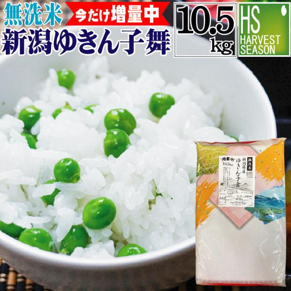 家計応援！[数量限定 今だけ増量中]  無洗米 10.5kg ( 10kg + 0.5kg増量中) 新潟県産 ゆきん子舞 令和4年産 送料無料 お米マイスター厳選
