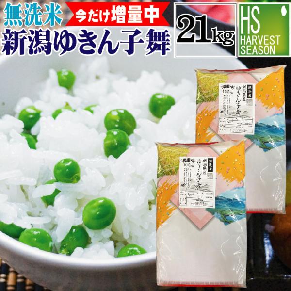 家計応援！[数量限定 今だけ増量中]  無洗米 21kg 10.5kg( 10kg + 0.5kg増量中 )×2袋 新潟県産 ゆきん子舞 令和4年産 送料無料 お米マイスター厳選