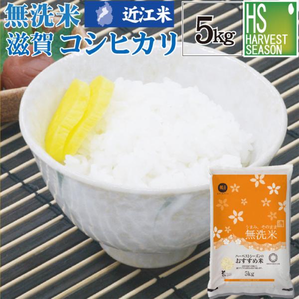 [20周年記念 ポイント5倍＆抽選プレゼント]  無洗米 5kg 滋賀県産 コシヒカリ 令和7年産 近江米 送料無料　SL