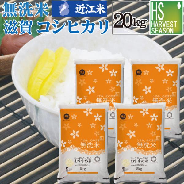 【精米時期訳あり】数量限定 無洗米 5kg×4袋 滋賀県産 コシヒカリ 20kg 令和7年産 近江米 送料無料　SL