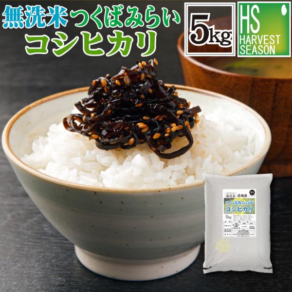 [精米時期訳あり]令和7年産 無洗米 5kg 茨城県 つくばみらい市産 コシヒカリ  送料無料