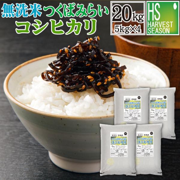 [精米時期訳あり] 令和7年産 無洗米 5kg×4 茨城県 つくばみらい市産 コシヒカリ 20kg 送料無料 SL