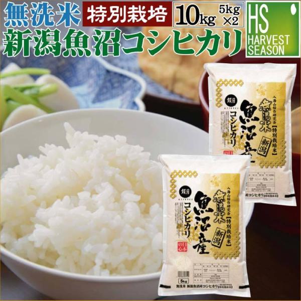 最終売尽くしセール 令和6年産 無洗米 5kg×2 新潟県 魚沼産 コシヒカリ 10kg 送料無料 特別栽培米 特A（SL）