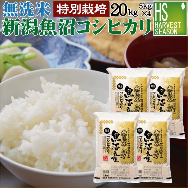最終売尽くしセール 令和6年産 無洗米 5kg×4 新潟県 魚沼産 コシヒカリ 20kg  送料無料 特別栽培米 特A（SL）
