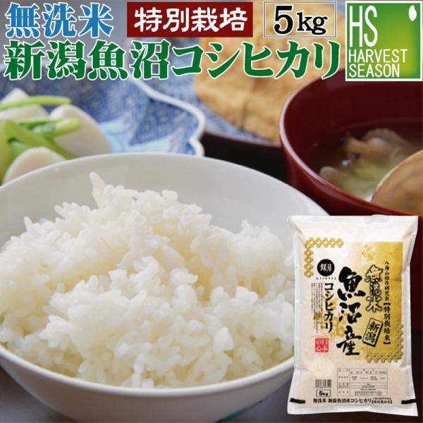 最終売尽くしセール 令和6年産 無洗米  5kg 新潟県 魚沼産 コシヒカリ 送料無料 特別栽培米 特A（SL）