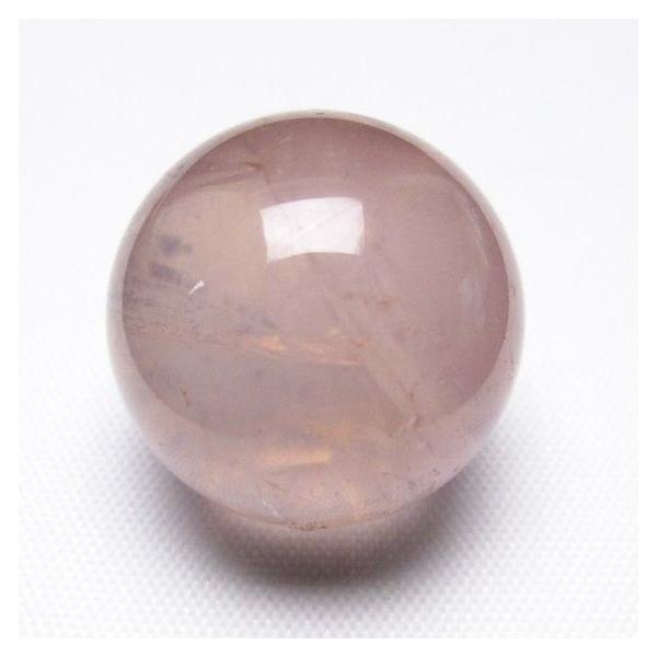 �p���[�X�g�[�� �V�R�� �X�^�[���[�Y�N�H�[�c�ۋ�20mm t451-8336