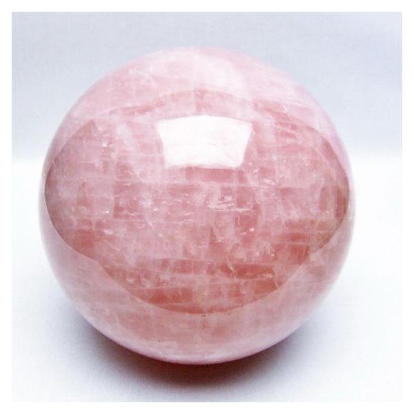 3.7Kg�p���[�X�g�[�� �V�R�� ���[�Y�N�H�[�c�ۋ�138mm t456-13245