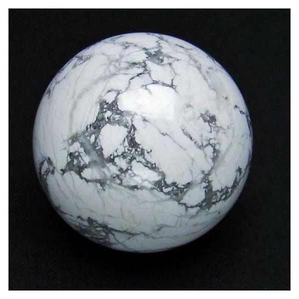 p[Xg[ VR nECgyHy΁zۋ41mm t463-1664