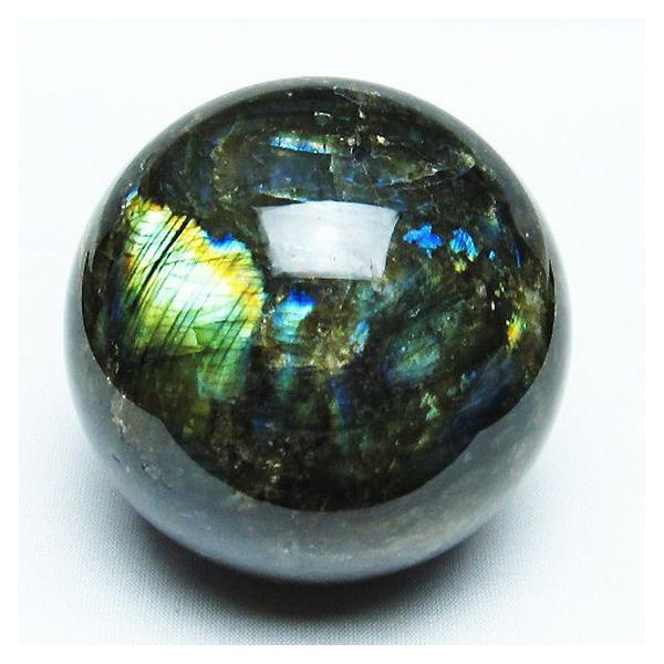 �p���[�X�g�[�� �V�R�� ���u���h���C�g�ۋ�77mm t484-2352