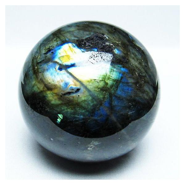 �p���[�X�g�[�� �V�R�� ���u���h���C�g�ۋ�87mm t484-2381