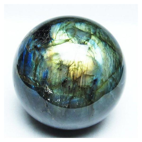 �p���[�X�g�[�� �V�R�� ���u���h���C�g�ۋ�78mm t484-2444