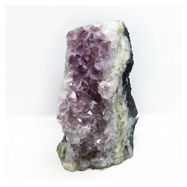 2.5Kgp[Xg[ VR uWYAWXgNX^[ t749-4731