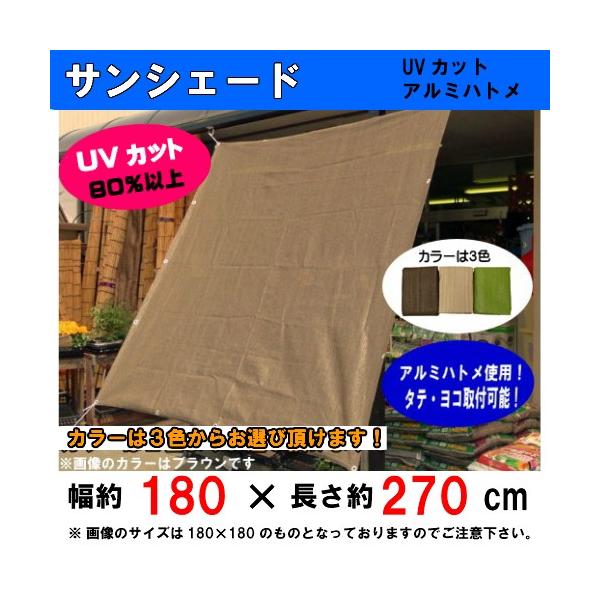 TVF[h TK ()180×270cm tŒЂt(4{) x_ډB UVJbgf