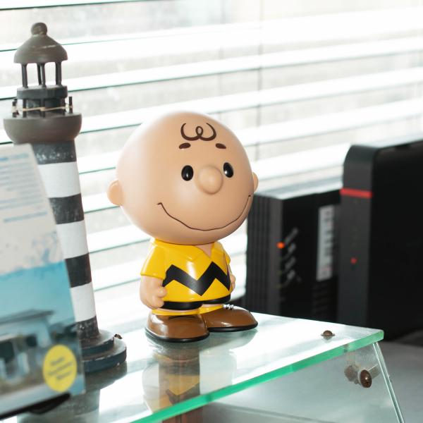 PEANUTS フィギュア Super7 Peanuts FUN! Wave 1 Charlie Brown