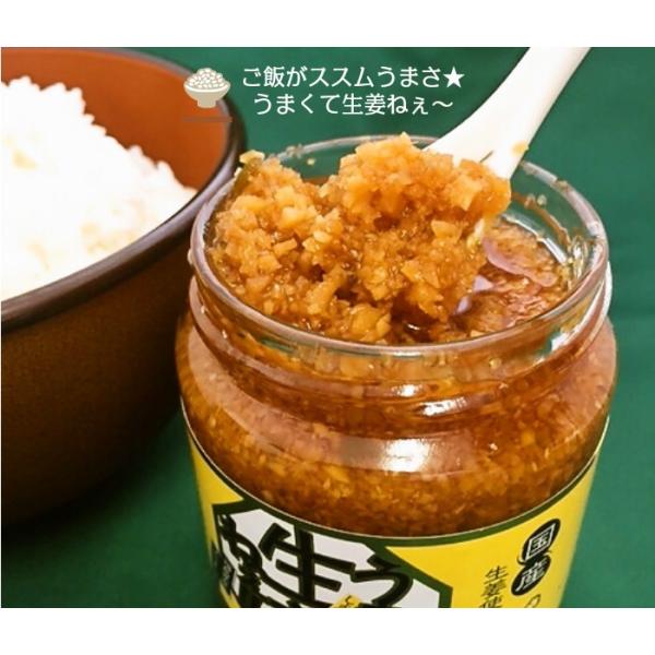 うまくて生姜ねぇ6個 辛くて生姜ねぇ2個 8個送料無料セット Buyee Buyee Japanese Proxy Service Buy From Japan Bot Online