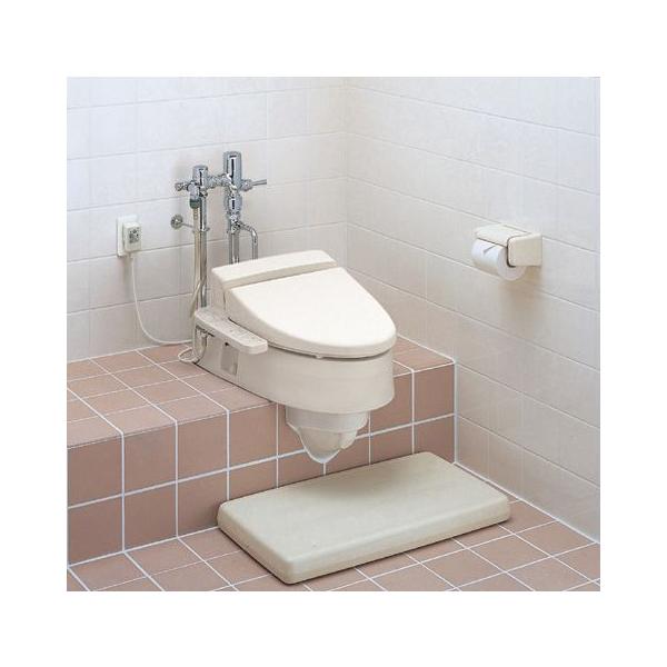 TOTO Xbg ap֊ CS501F 2Tԏi