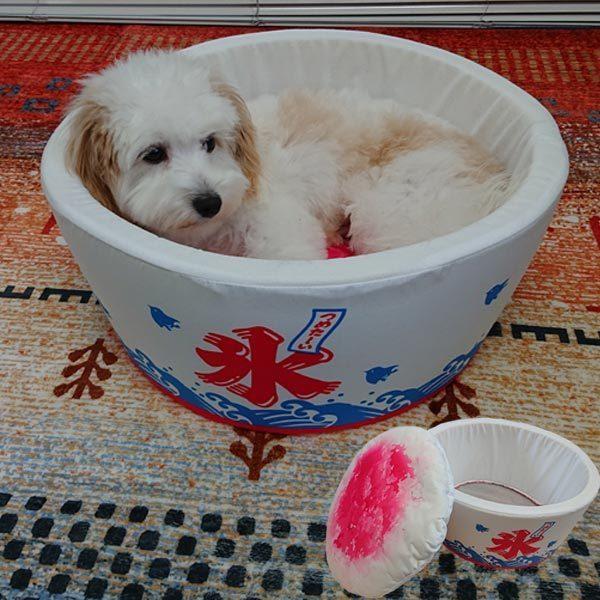 ペットベッド カップ型 かき氷柄 洗える 犬用 猫用 犬猫用 小型犬 子猫 カドラー カウチ ペットハウス インスタ映え Sns Sha 000 0000 Huanajapan Cloth Goods 通販 Yahoo ショッピング