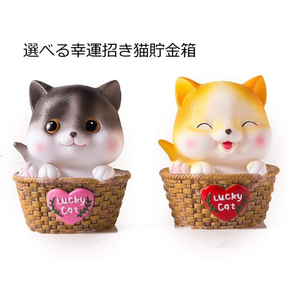 KȏL CeAɂ ɂ邾ōKȋC ^Abv L L[gO[ nbs[CG[@Iׂ2F