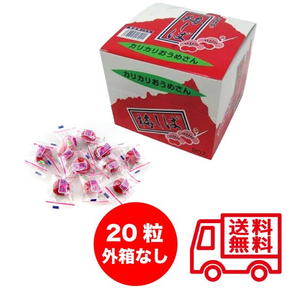 梅しば うめしば カリカリ梅 20粒入り 村岡食品 赤梅しば 熱中症対策