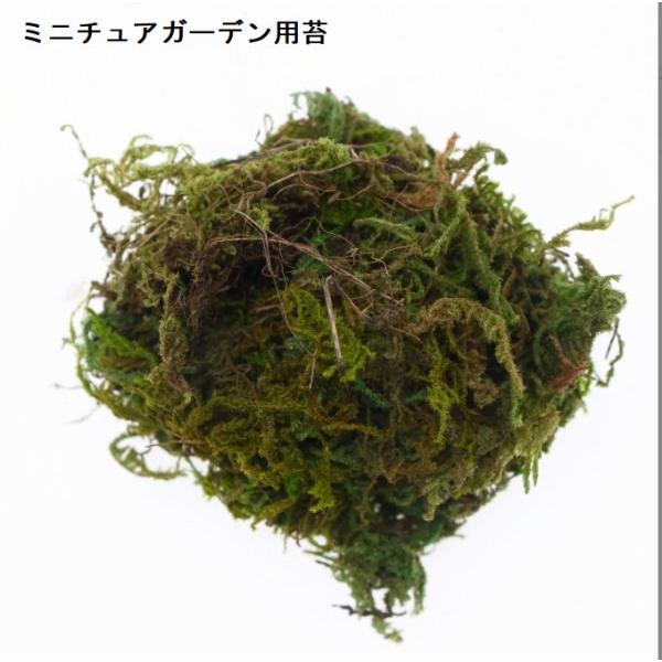 ※お急ぎの場合は、ご注文時に※※＜宅配便＞をご選択ください（有料）※ミニチュア雑貨 庭の苔　ガーデニング　お好みのガーデニングにぴったり。庭の土台作りにいかがですかお好みで配置出来ます。※撮影用小物は付属しません素　材：プラスチックサイズ：...