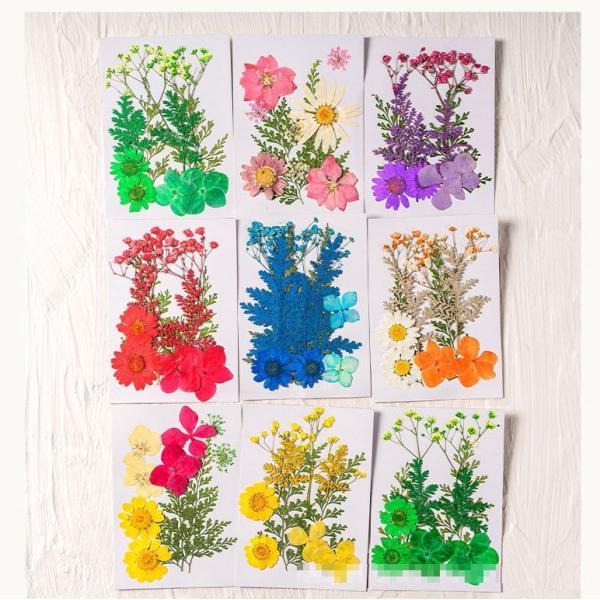 ※お急ぎの場合は、ご注文時に※※＜宅配便＞をご選択ください（有料）※DIY素材　押し花10枚セット　ハンドメイドの作品に張ったり切ったりして使うパーツです少量だから初心者のお試しにもいかがですか各種10枚セットです<br>※天然...