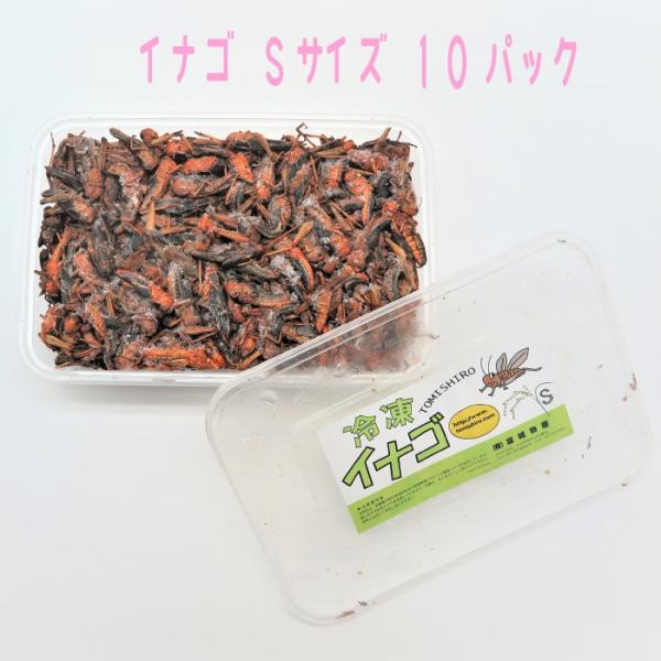 冷凍イナゴ 冷凍ペット用品 両生類 inago S0010 フリータイム 大型中型 