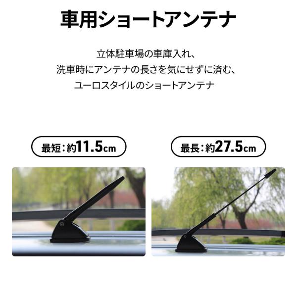 hurry-up_000000107135_1_d_20241214140346