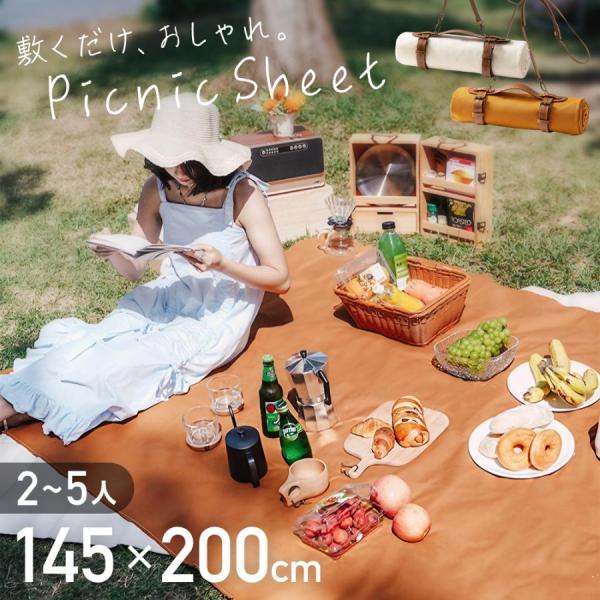 バラエティカードセット＋α 大量 約12kg サイズ 120サイズ hurry-up_hu-00910