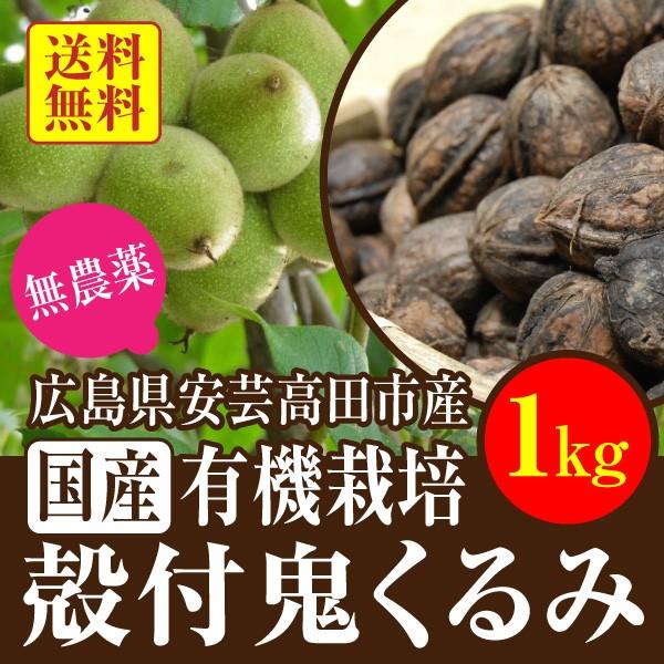 送料無料 国産 有機栽培 限定数 上質の殻付き生 鬼胡桃 1kg Buyee Buyee 日本の通販商品 オークションの代理入札 代理購入