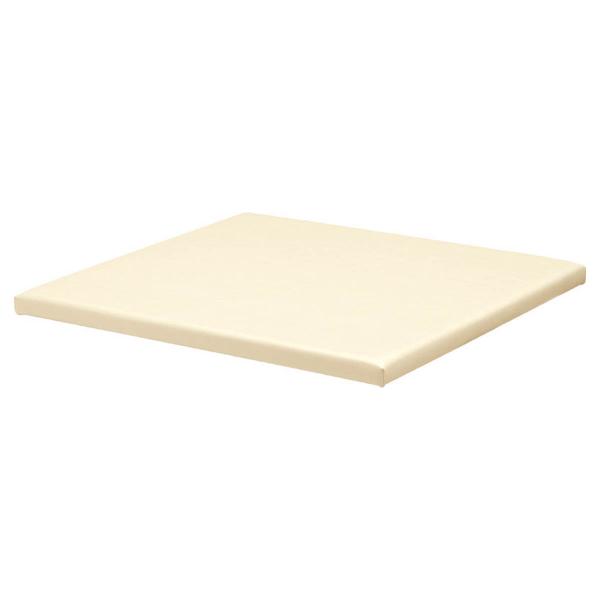 ■底面：滑り止め材■重量：約7.5kg■サイズ：W900×D900×T50■補足：完成品／張地選択【注意事項】※幼児（3〜5歳）を対象にした仕様です。対象年齢以外の方は、ご使用にならないでください。北海道、沖縄、離島及び中継を伴う場合は、差...