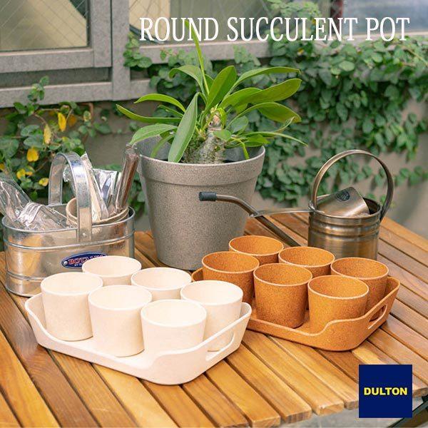 DULTON（ダルトン） BOTANY ROUND SUCCULENT POT ボタニー ラウンド