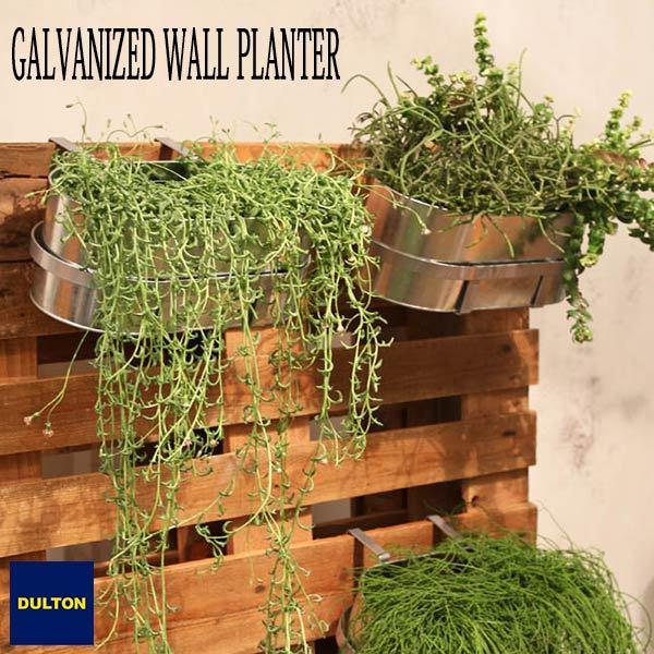 ダルトンBOTANY Galvanized Wall Planter 4個セット GALVANIZED WALL PLANTER DULTON ガルバナイズド ウォール プランター