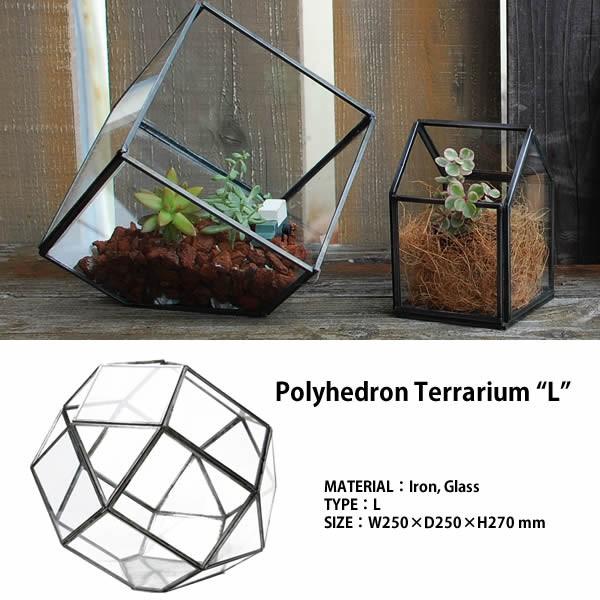 観葉植物 エアプランツ テラリウムの人気商品 通販 価格比較 価格 Com
