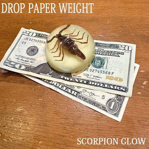SCORPION DROP PAPER WEIGHT さそり ペーパーウエイト レジン 蓄光 アリゾナ州
