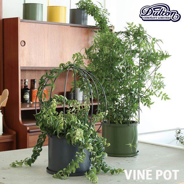 Vine Pot バイン ポット 全2種類 つる植物用 植木鉢 ガーデニング アイアン ヴィンテージ風 Dulton ダルトン Vprg1 Hutte 通販 Yahoo ショッピング
