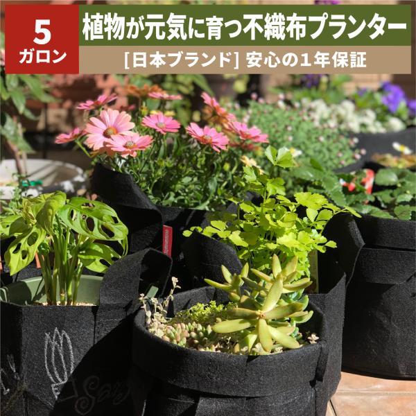 不織布 プランター 5ガロン3枚入 植木鉢 家庭菜園 野菜 ブラック 不織布プランター 3ガロン 5個入り 不織布ポット ベランダ栽培