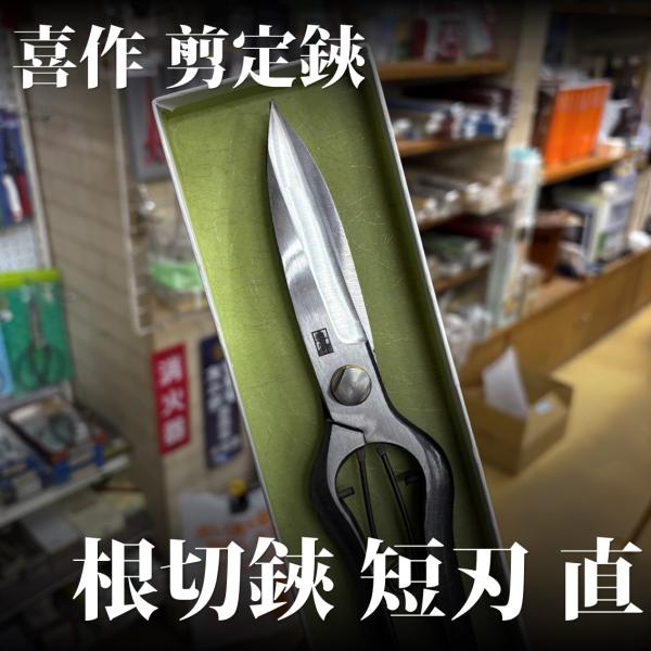 hw-matsuya_0302129011