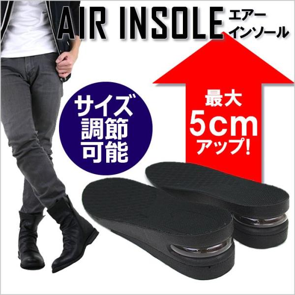 V[NbgC\[ V[NbgV[Y Y fB[X C\[