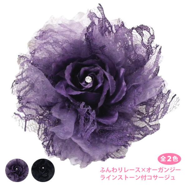 RT[W ANZT[ӂ背[X×I[KW[   8f tH[} fB[X Ǝ w   