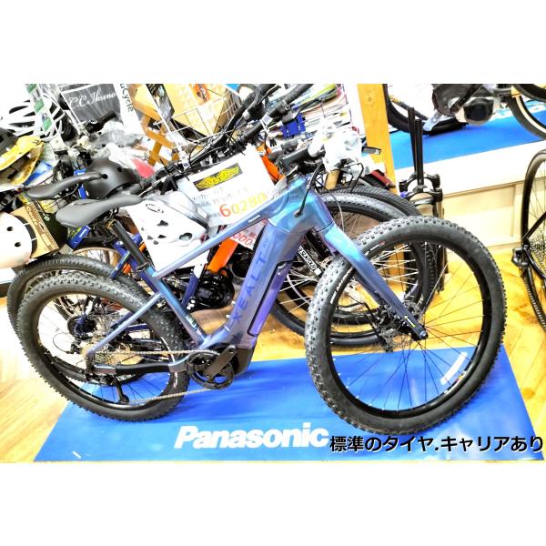 Panasonic（パナソニック） 店頭販売限定(発送不可) XEALT S5