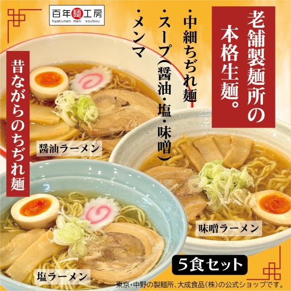 ラーメンセット 中細ちぢれ麺 5食セット スープ・メンマ付 送料無料 生麺 味噌 塩 醤油 ラーメン取り寄せ ラーメン名店 ラーメンスープ 中華麺