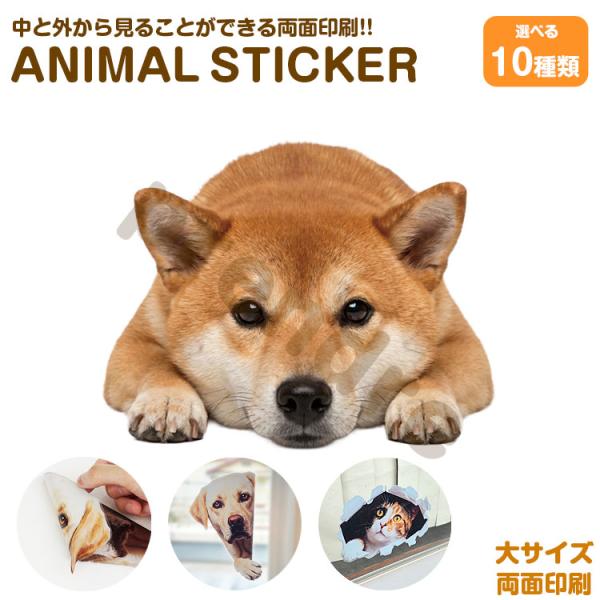 犬 ステッカー 両面印刷 柴犬 伏せる犬 ガラス 装飾 シール かわいい 動物 アニマル シール カーステッカー 車 傷隠し