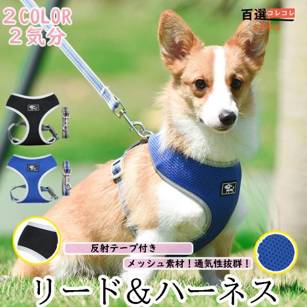 ݌Ɍ n[lX[hZbg EȂ  bVfޒʋCQ tČxg ^^ 