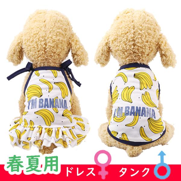  t 킢 hX ^Ngbv ^^p bVf ȃhbNEFA