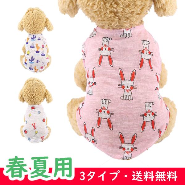  tĕ 킢hbNEFA ^Ngbv Ȃ  3^Cv ^^